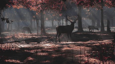 Hösten är här och