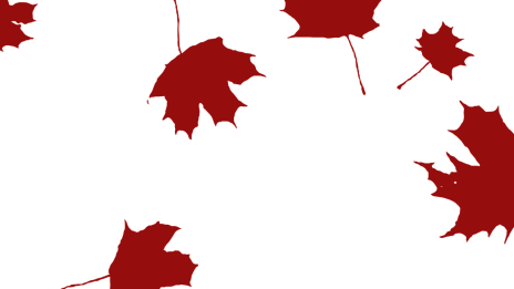 När löven långsamt faller