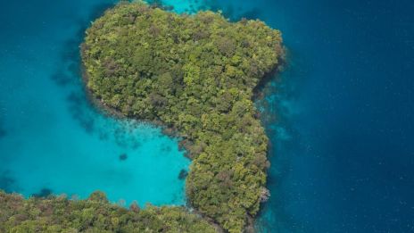 Palau: En Värld av Natur, Tradition och Gemenskap