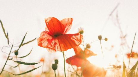 Hľadanie rovnováhy medzi telom, mysľou a prírodou