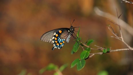Ezoterika ako cesta k vnútornému poznaniu