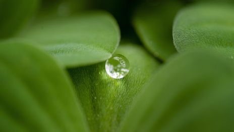 Umenie zdravého života v duchu starých čias