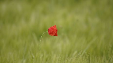 Starodávne legendy a sväté pravdy.