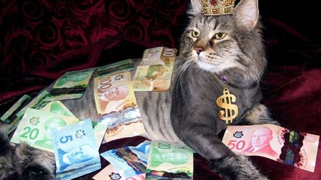 Finanční ne gramotnost