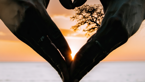 Láska na první pohled.