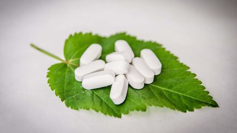 Na skok do zázračné lékárny