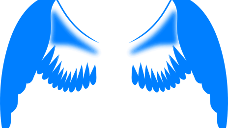 Sdělení modrého anděla