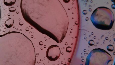 Bez chemie a bez jedů