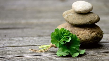 Jarní lékárnička