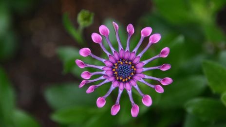 Leucin, methionin, tryptofan