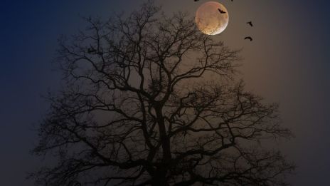 MAGIE UZLÚ – VYLÉČENÍ VZTAHU