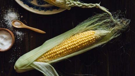 Máte rádi kukuřici?