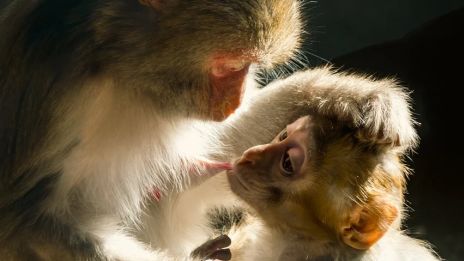 Mateřská dovolená