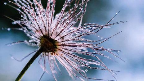 Nenadálé setkání po letech