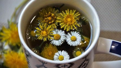 Překyselený organismus