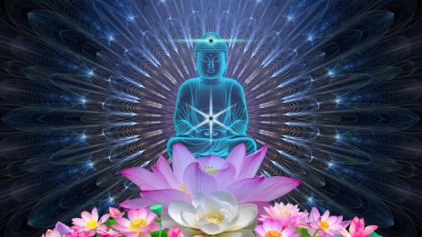 PROČ JE KARMA ZDARMA?