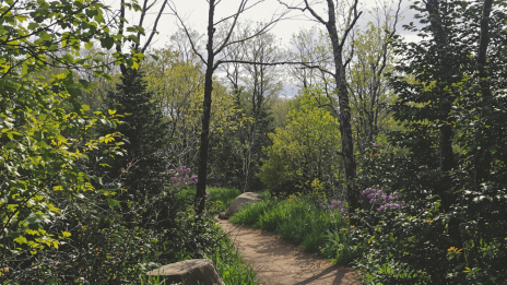 Procházka přírodou