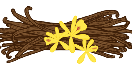 VYKUŘOVADLA A JEJICH VYUŽITÍ