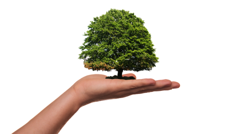 A környezettudatosság