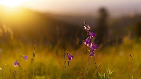 A teljesség megélésének a kulcsa