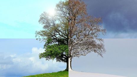 A természet csodái: Hogyan befolyásolják az évszakok a növények fejlődését?