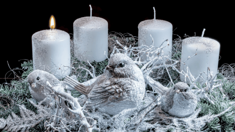 Advent első vasárnapja