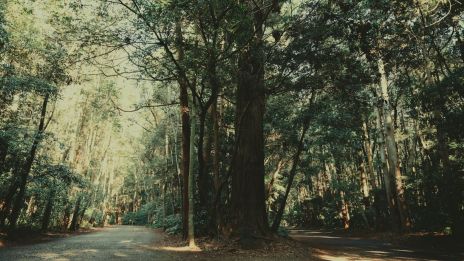 Amikor egy hely hazahív minket