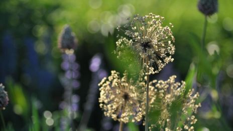 Az augusztus emlékei