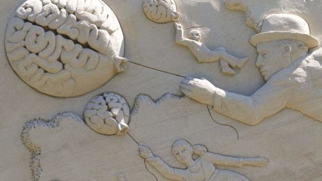 Az idegrendszer támogatása