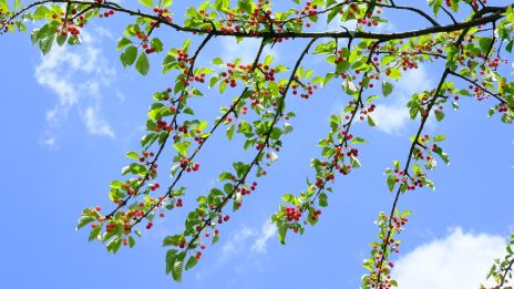 Az igazi bőség II. rész