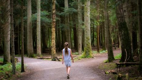 Az el nem élt életek energiája