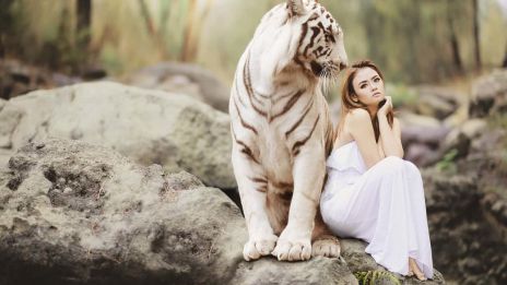 Energetikai védelem