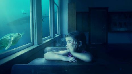 Érzelmi érintettség – Záró rész