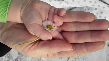 Felelősségvállalás