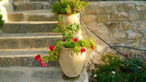 Az apró döntések ereje