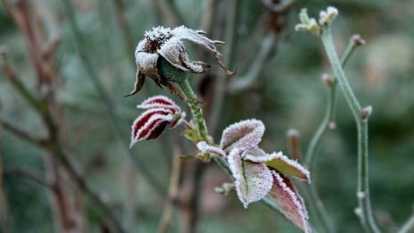 Hogyan készüljünk fel a télre novemberben?