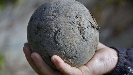 Mit üzennek az élet ismétlődő jelei?