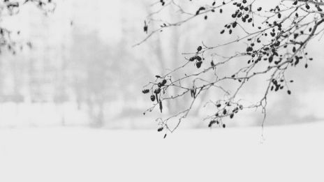 Január: A Test és Lélek Megújulása