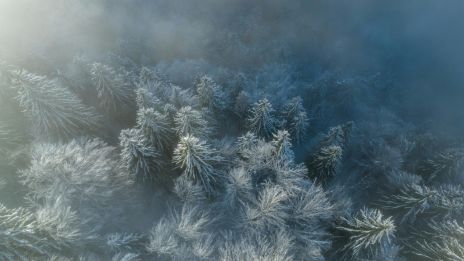 Januári Hangulat: Téli Csend és Belső Tükröződés