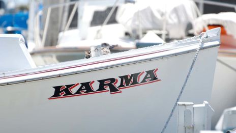 Karmikus kapcsolatok