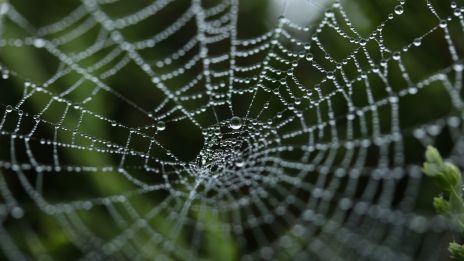 A pókhálók titka a népi boszorkányságban