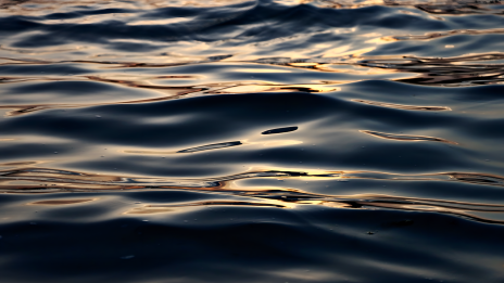 Mit tegyek ha nincs akaraterőm