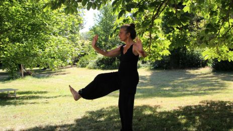 Mozgás és meditáció Tai Chi