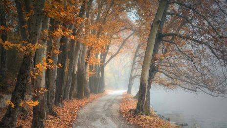 Nappalok rövidülése: A fény lassú eltűnése
