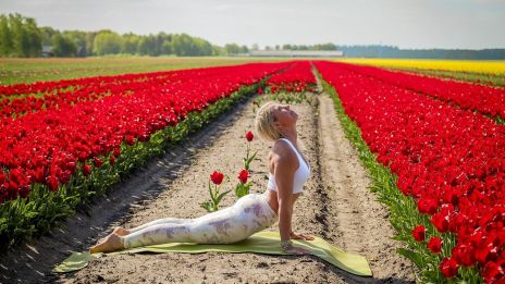 Napüdvözlő rituálé