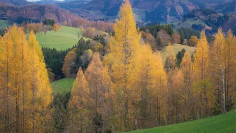 Ősszel a természet