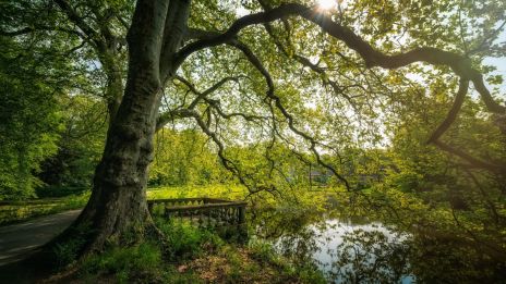 Miért érezzük néha úgy, hogy már jártunk ott?