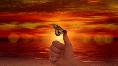 Pozitív energiák bevonzása