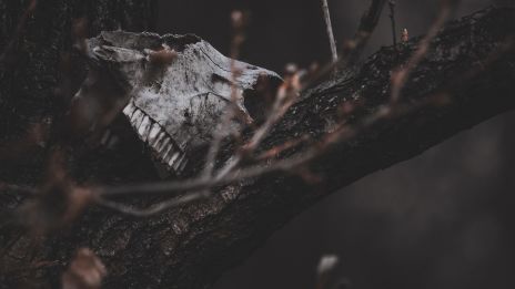 Rontást tettek rám, hogyan szabaduljak meg tőle?