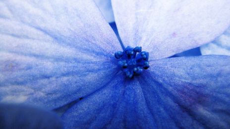 És mi a jelentősége a megérzésnek?